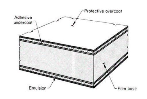 Cross-section of radiographic film layers showing emulsion and protective overcoat