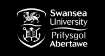Swansea University