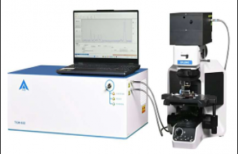 Researchers Advance NDT for Fragile Archaeological Ivory