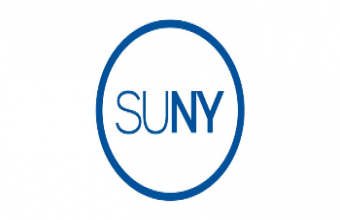 SUNY-Backed Handheld Terahertz Scanner Targets Faster Burn Assessment