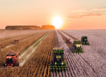 IPB University Brings Instant NDT Technology for Agriculture