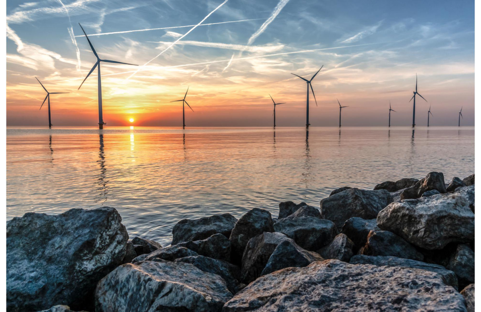 Exciting Release of the MareWind Project Newsletter