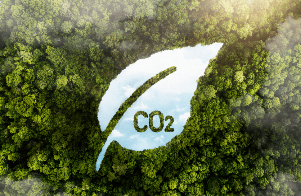 ADIPEC offsets carbon emissions of 2023 edition