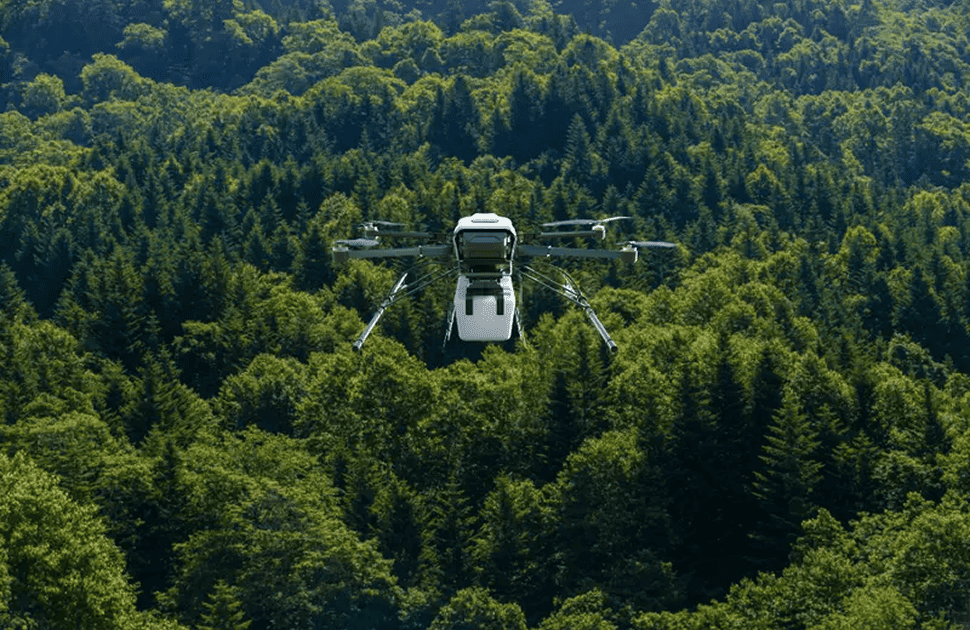 Dr. Kayode Olaoye Advancing Sustainable Forestry with NDT/E Techniques