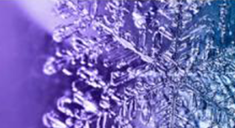 webinars detail page