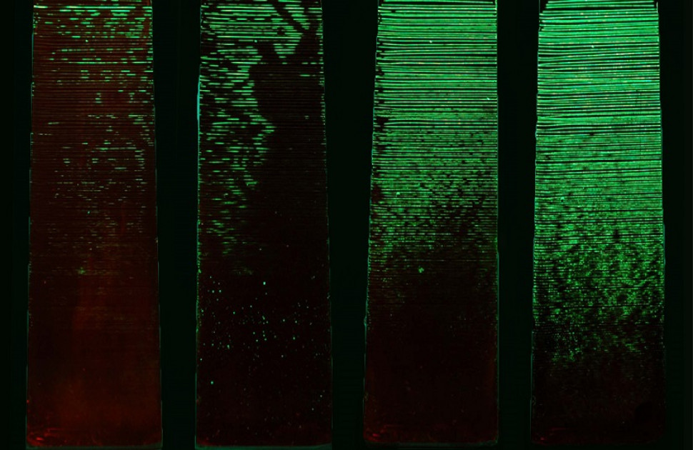 A Guide to AMS 2644 Penetrant Sensitivity Levels