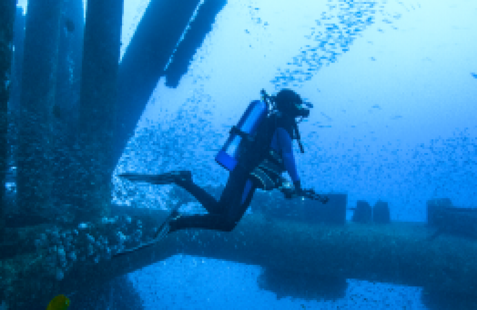 Dive into the Future